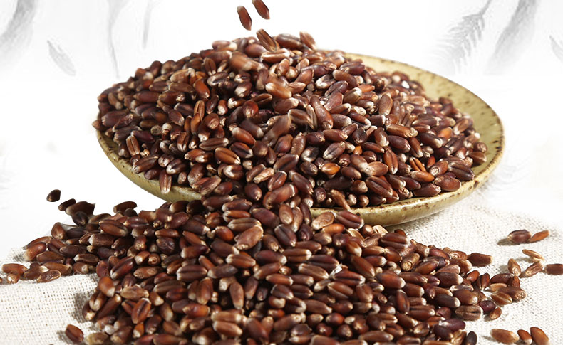 杂粮 麦子米 黑小麦新货黑麦仁去皮自产燕麦五谷杂粮粗粮500g*2