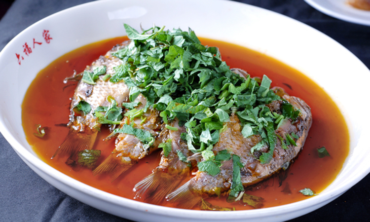 藿香种子霍香正气香草种子 五香十香大茴鱼香草 阳台盆栽蔬菜种子