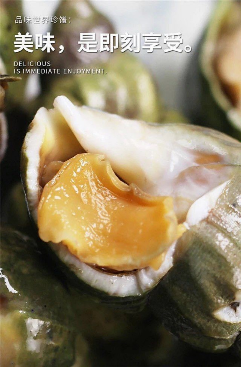 青樱红荔翡翠螺生鲜刺身料理熟冻翡翠螺海鲜贝类解冻即食500克袋