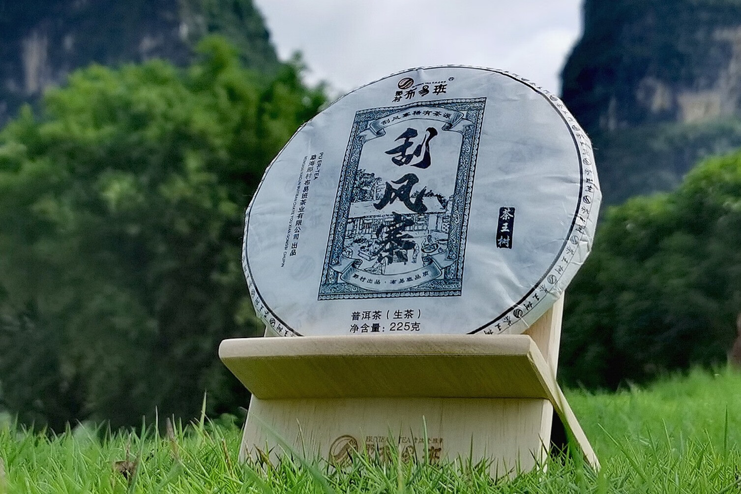 那村布易班2021刮风寨茶王树生茶235克