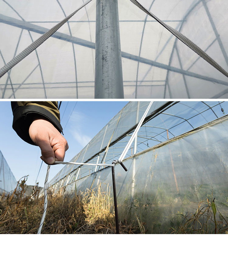 抗老化大棚压膜绳大棚用品温室塑料绳加厚防晒白色压膜线扁带绿15厘米