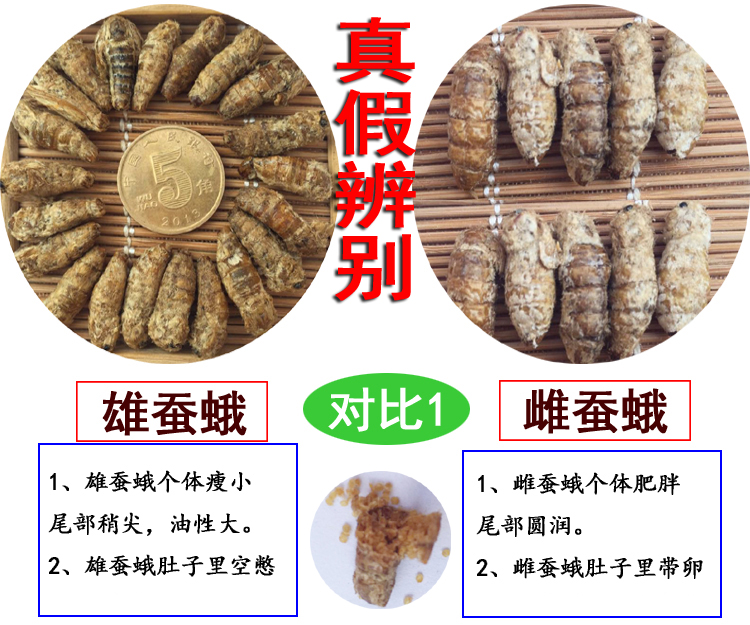 中药材200克雄蚕蛾公男补性用晚蛾子未交配交尾可泡酒料原蚕蛾粉