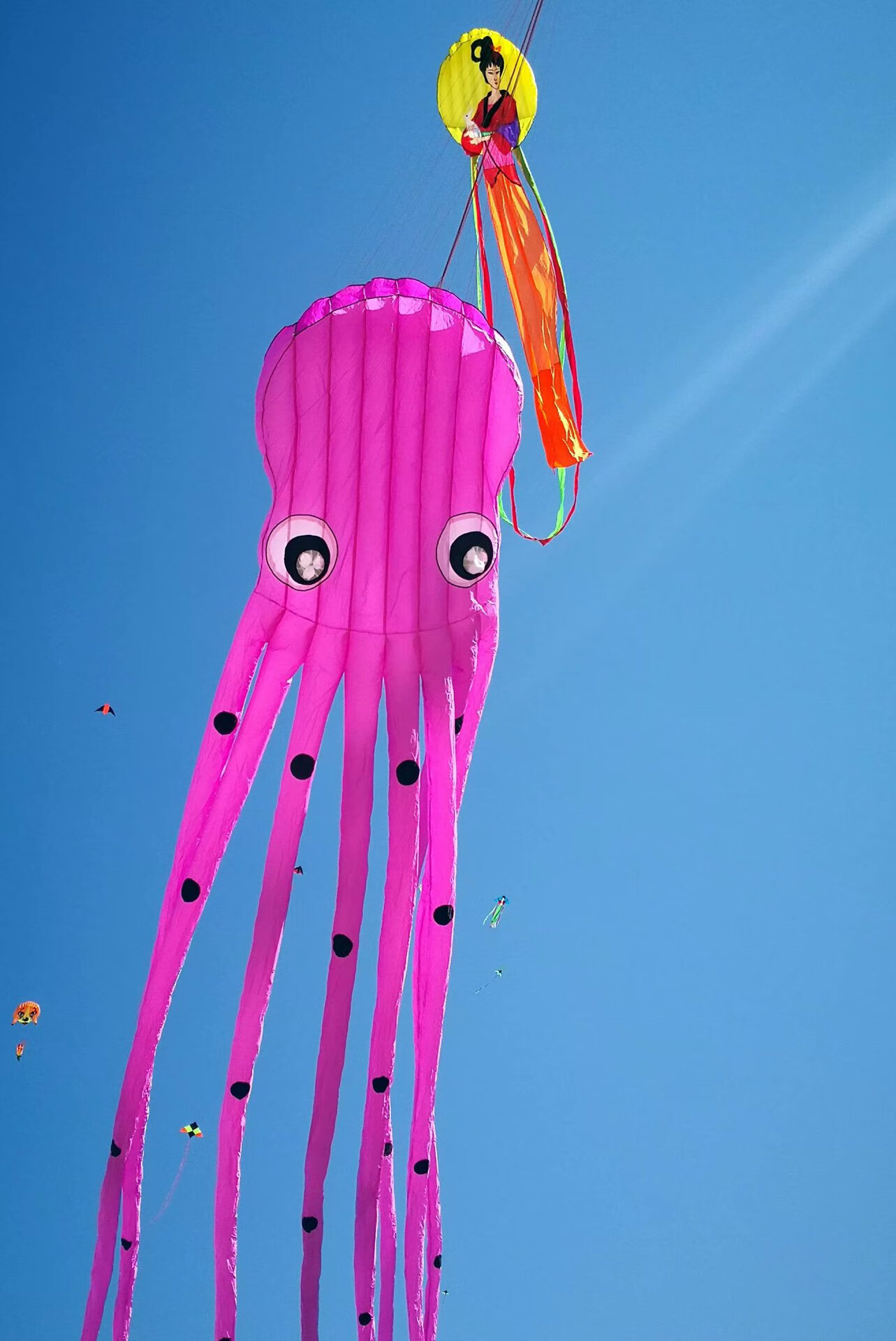 15m大型软体风筝紫水晶黑保罗章鱼风筝软体风筝大型风筝15米15米黑