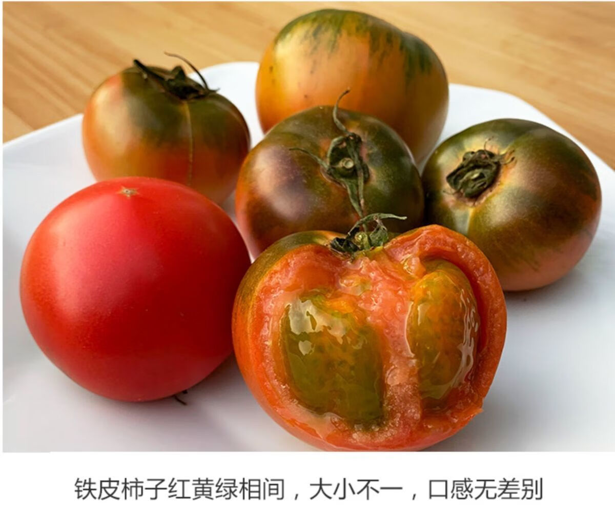 【铁莓柿子】盘锦碱地西红柿丹东鹰爪绿腚自然熟应季