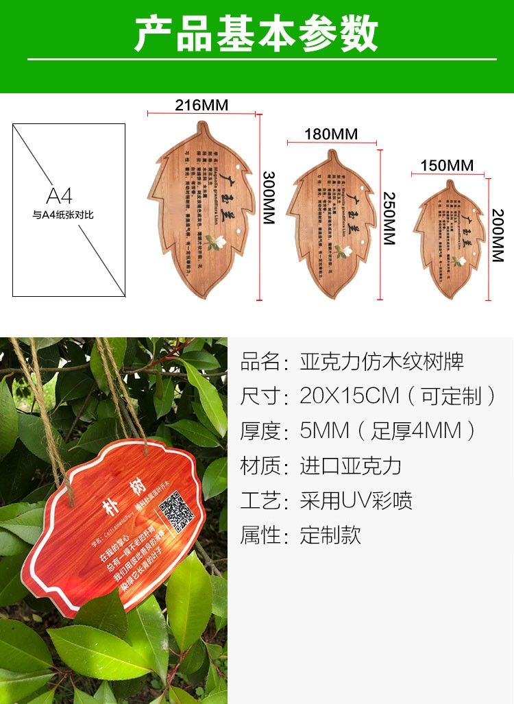 亚克力花草悬挂树牌定制植物标识牌绿化树木介绍挂牌园林指示牌15cmx