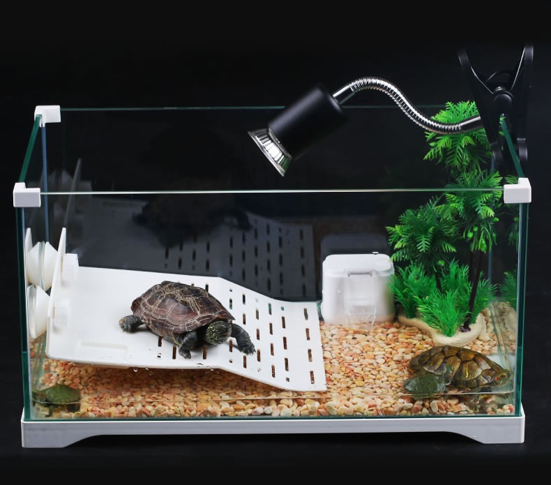 森森乌龟缸乌龟别墅生态龟缸巴西龟乌龟龟盆免换水鱼缸开放式玻璃缸三