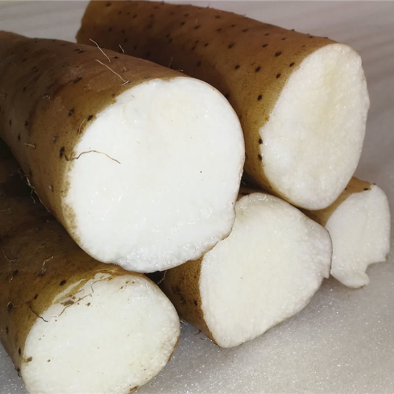 媚调 脆山药粗菜山药炒菜火锅用脆淮山新鲜山药农家自销3斤5斤 3斤装