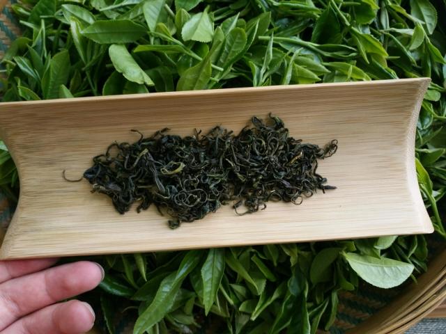 5折 2020龙神毛尖甘肃陇南康县阳坝绿茶茶叶新茶炒青春茶500gaa