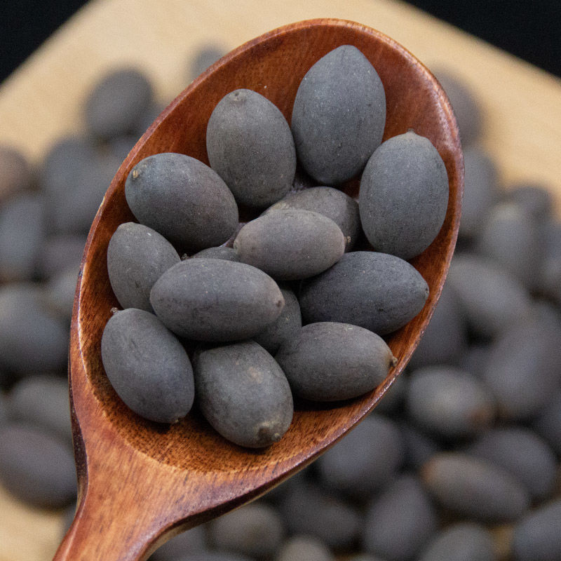 有仁堂正宗新货石莲子甜石莲石莲肉壳莲子带皮莲子新100g