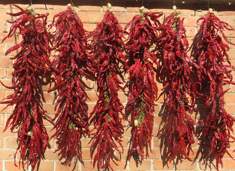 真实红辣椒串干辣椒挂件农家乐装饰民宿饭店火锅店装饰丰收节道具