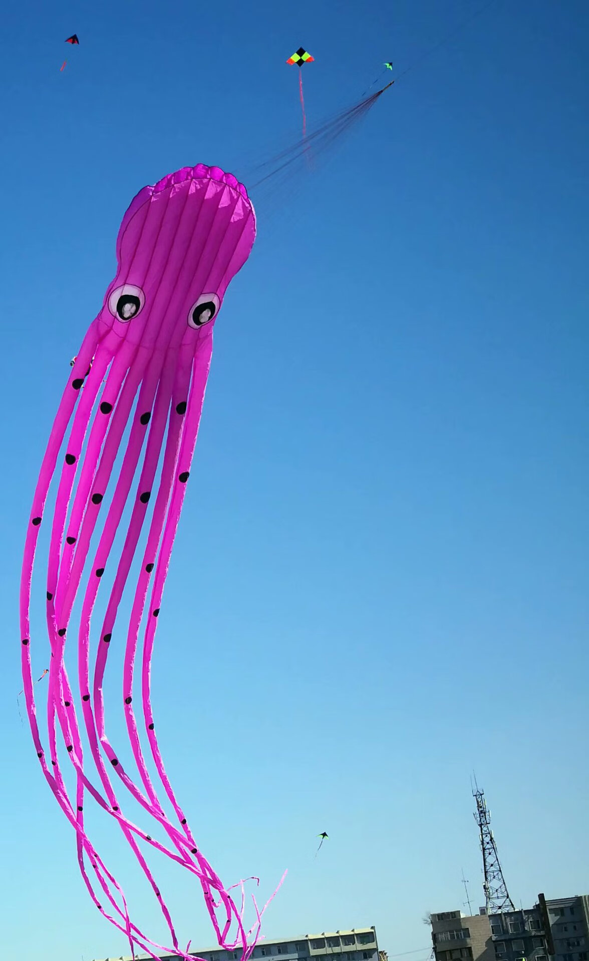 15m大型软体风筝紫水晶黑保罗章鱼风筝软体风筝大型风筝15米15米黑