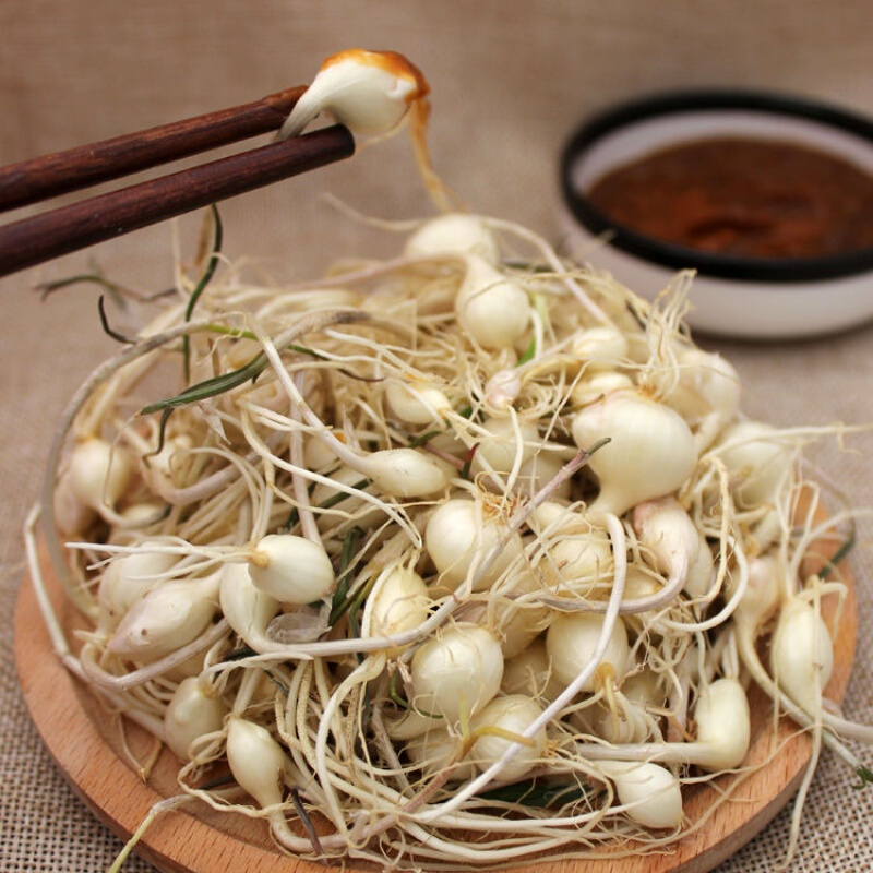 东北特产新鲜蔬菜山菜大脑瓜嘣小根蒜小根菜现卖现挖农家种植2斤装