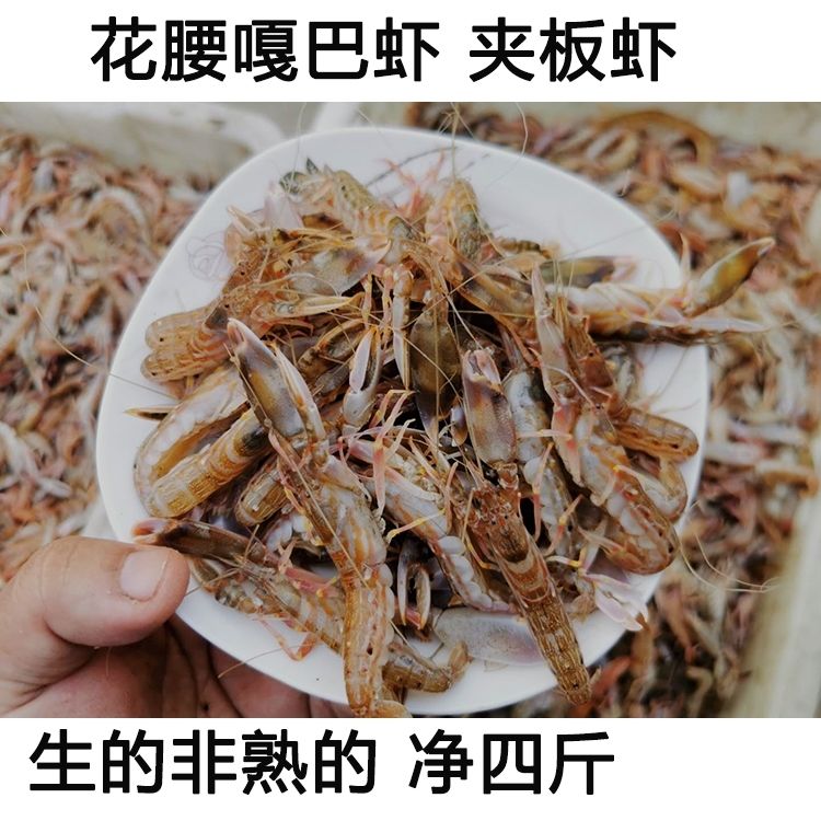 顺丰新鲜花腰嘎巴虾狗虾夹板虾花豹虾真正海虾四斤花腰夹板虾