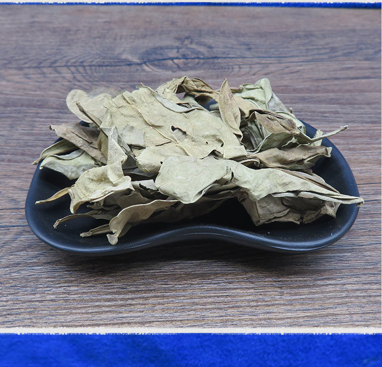 中材龙利叶龙舌叶龙脷叶龙脷叶牛耳叶冷背100g500克龙俐叶100g