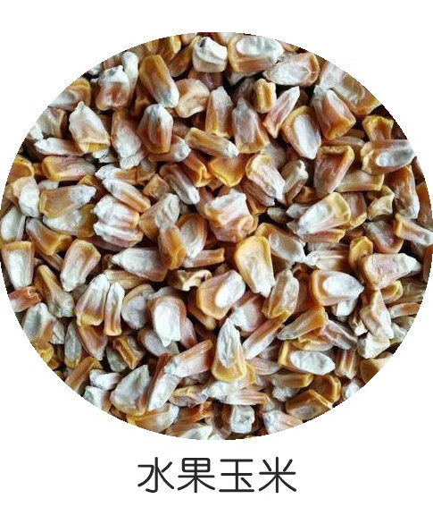 可以生吃水果玉米种子玉米秧苗种籽四季高产香甜玉米种孑 甜糯白玉米