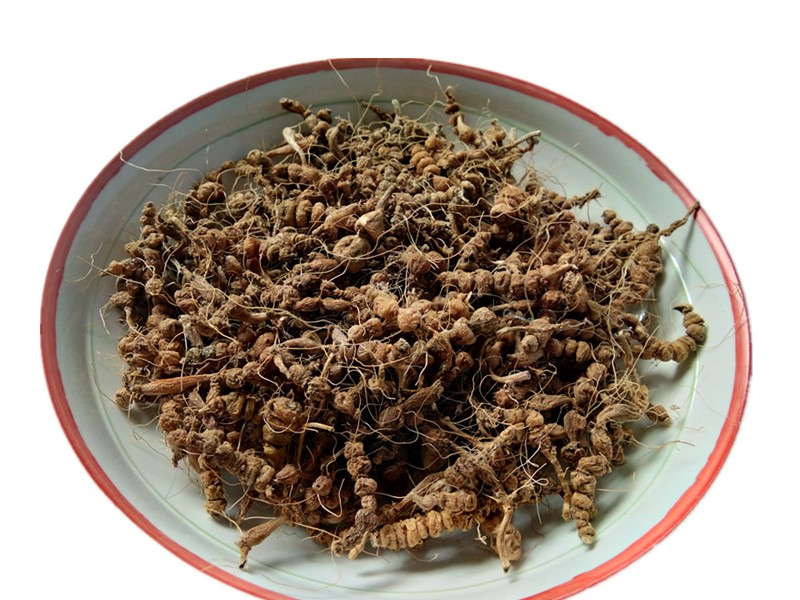 优选伟博官方旗舰九籽连环草干货贵州中草药材算盘子银珠草珍珠三七