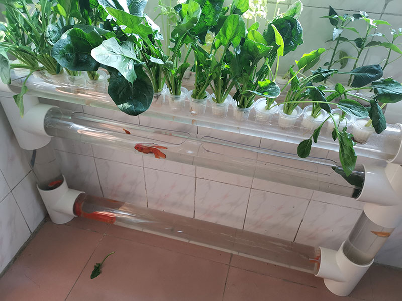 透明硬塑料管 高透明pc管有机玻璃亚克力pvc管硬塑料管高透明水族圆柱