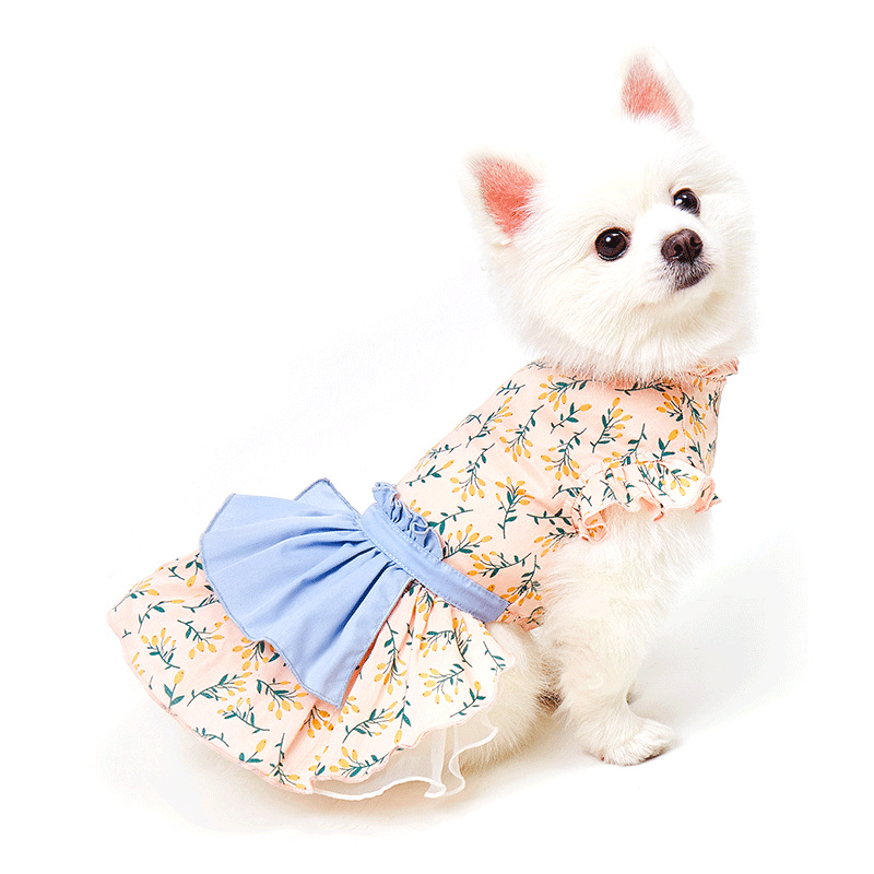 ispet狗狗裙子春夏连衣裙全棉公主裙2021新款邻家女孩粉色m建议57斤