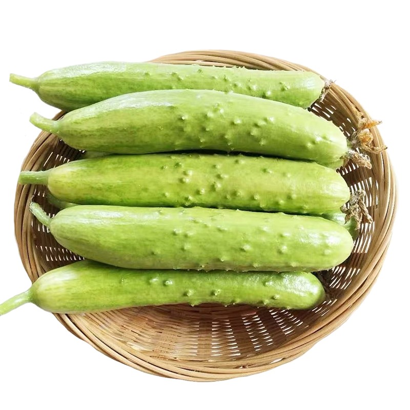 山东产地直发 正宗海阳白玉瓜 土黄瓜5斤装 净重4.