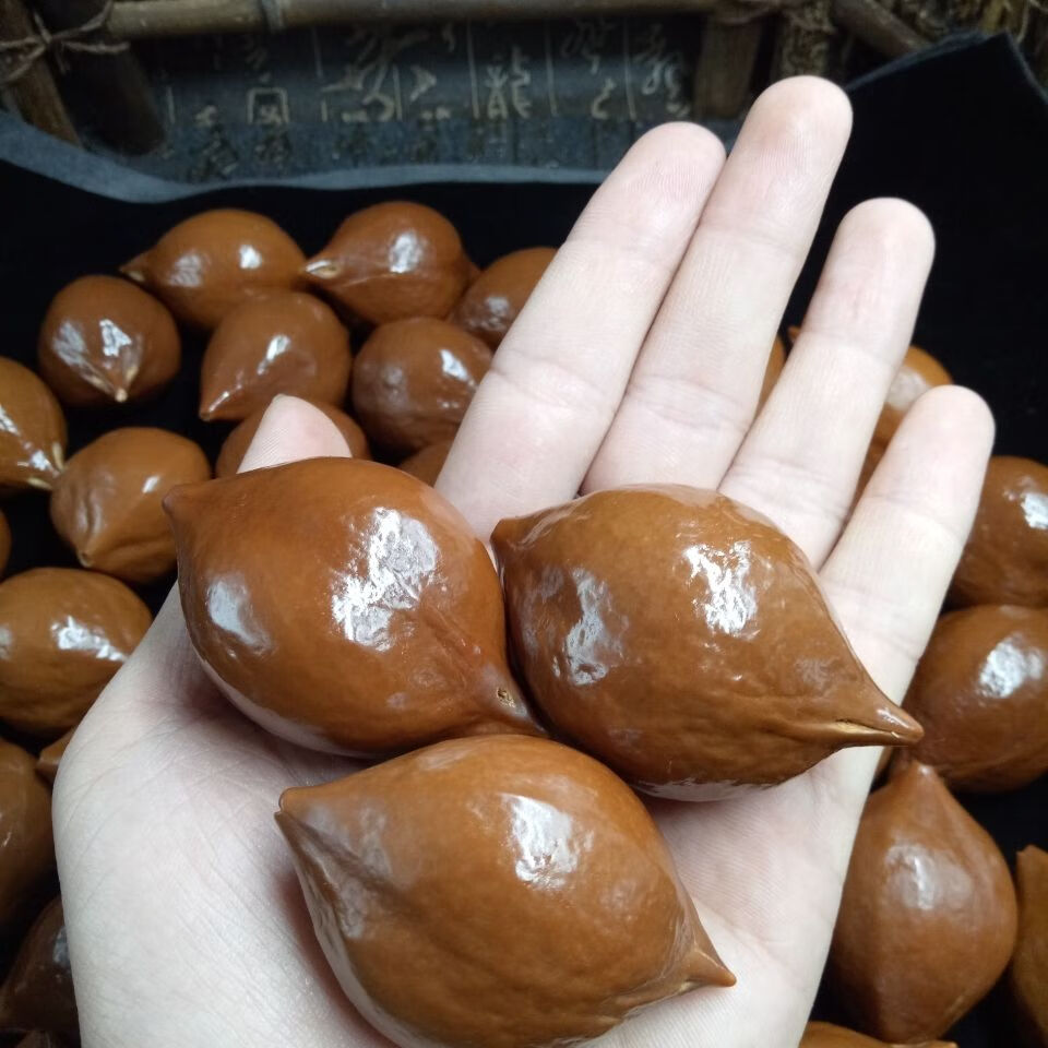 橄榄核原籽 印尼 橄榄核雕 大籽 大核 原料 原籽