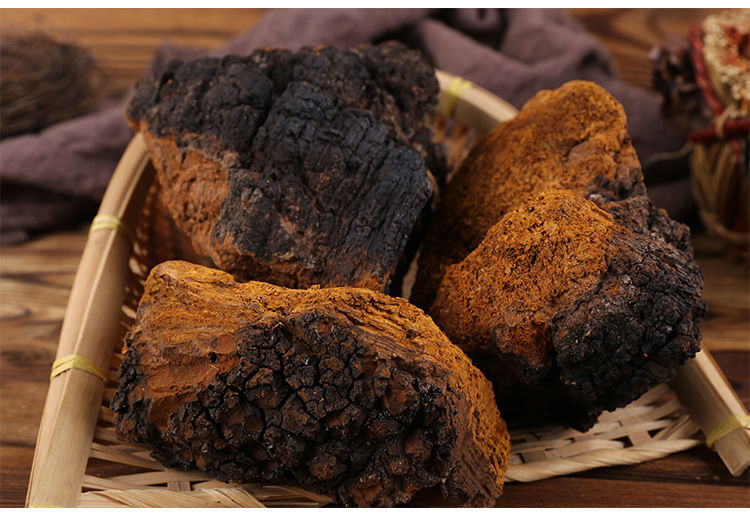 芦阳芝50克大粒50克送枸杞