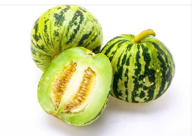 【欢度618】上海可发 香瓜罐头俄式酸黄瓜伴侣850克/罐开罐即食东北