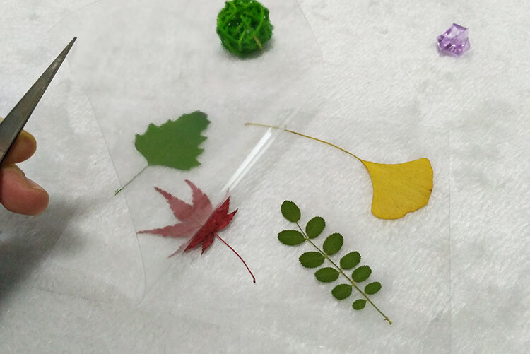 塑封膜植物标本制作透明膜押花叶子保护膜防潮树叶手工粘贴过塑膜s