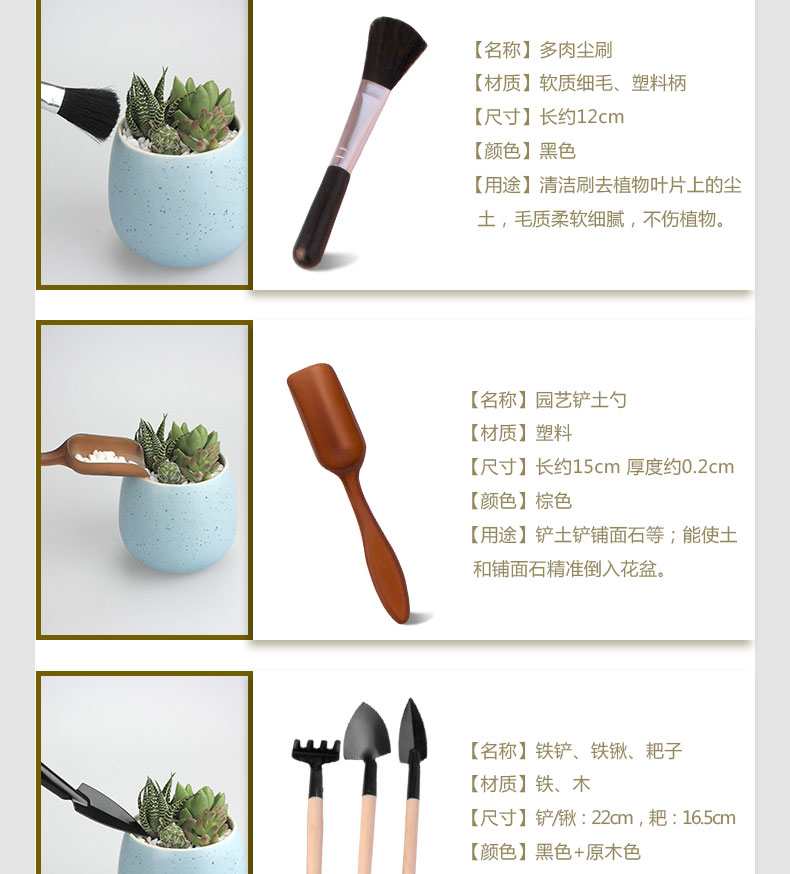 多肉植物盆栽种植工具套装园艺三件套浇水壶镊子剪刀毛刷喷壶气吹小