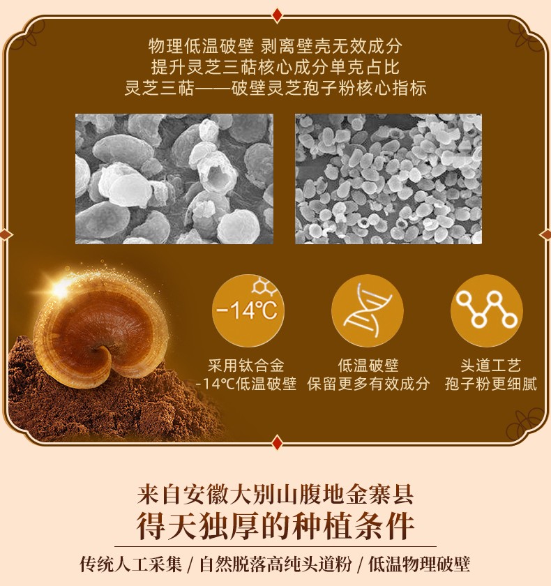 合和泰破壁灵芝孢子粉颗粒增强免疫力中老年成人滋补品60g盒1g60小袋