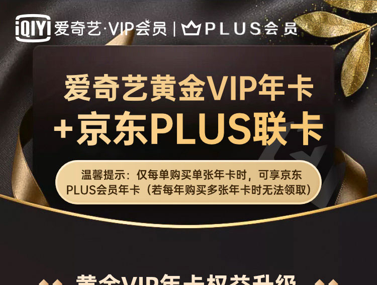 15点开始：爱奇艺 VIP会员 12个月+京东 PLUS会员 12个月双年卡套餐 券后138元到手，限量3万张 买手党-买手聚集的地方