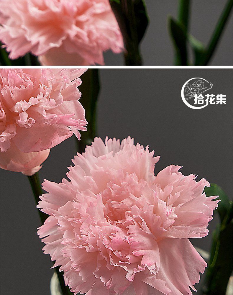 轻奢芊阙康乃馨永生花花束风干花真花装饰摆设件天然母节松妈妈生日