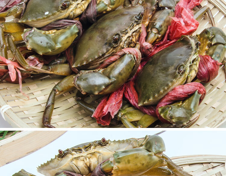 港遇海鲜 鲜活台山青蟹 膏蟹 满膏满肉 鲜活螃蟹 膏蟹150-200g/1只 共