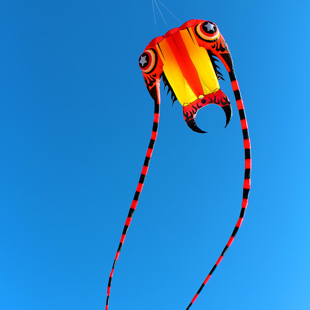 领航风筝新奇特征风三叶虫充气风筝立体风筝7平米