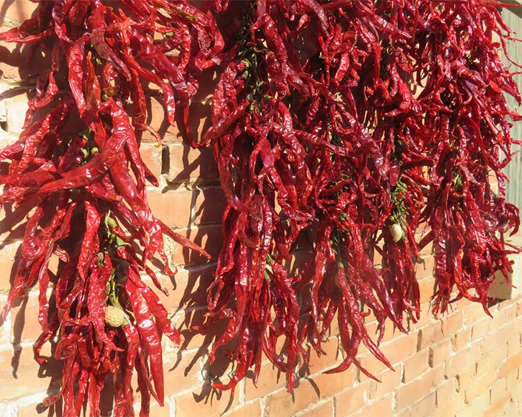 真实红辣椒串干辣椒挂件农家乐装饰民宿饭店火锅店装饰丰收节道具