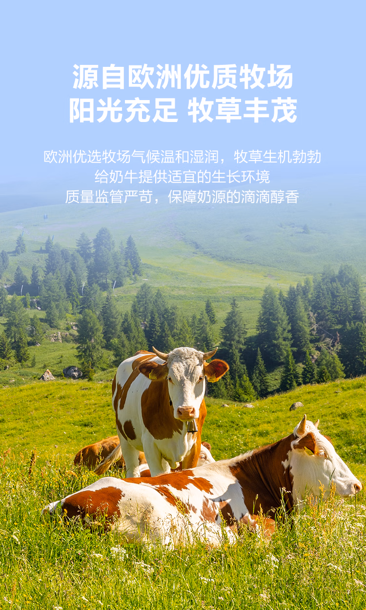 c853988382505ffc.jpg.avif