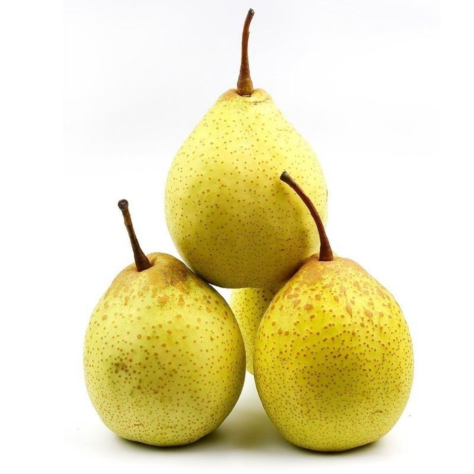 河北鸭梨水晶梨脆甜多汁梨子(单果200g起)水果5/10斤箱 10斤装箱