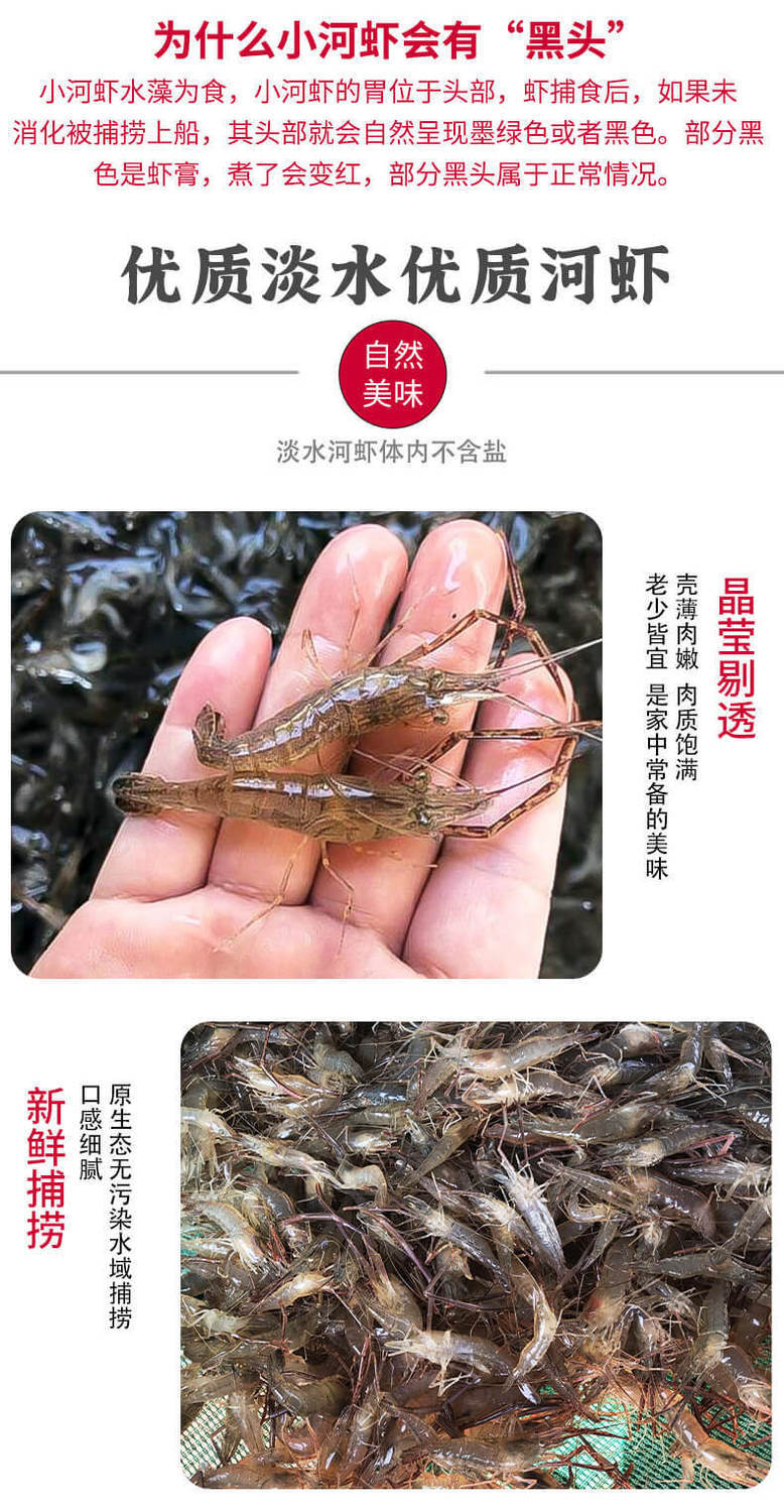 猫扑鱼小河虾淡水新鲜鲜活小白虾小土虾小明虾冰鲜 河虾6-9厘米250g