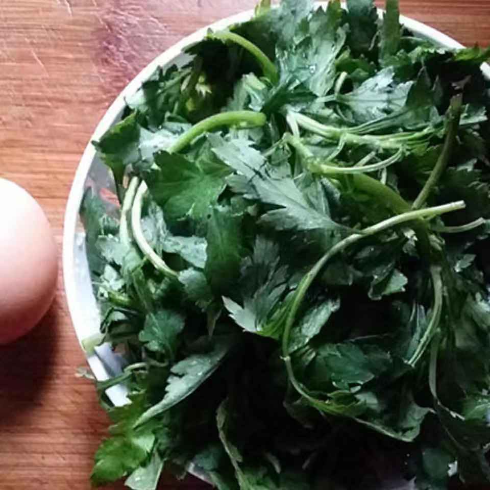 橙伯乐南京特产菊花脑菊花菜蔬菜菊花叶涝头新鲜绿色蔬野菜1500g