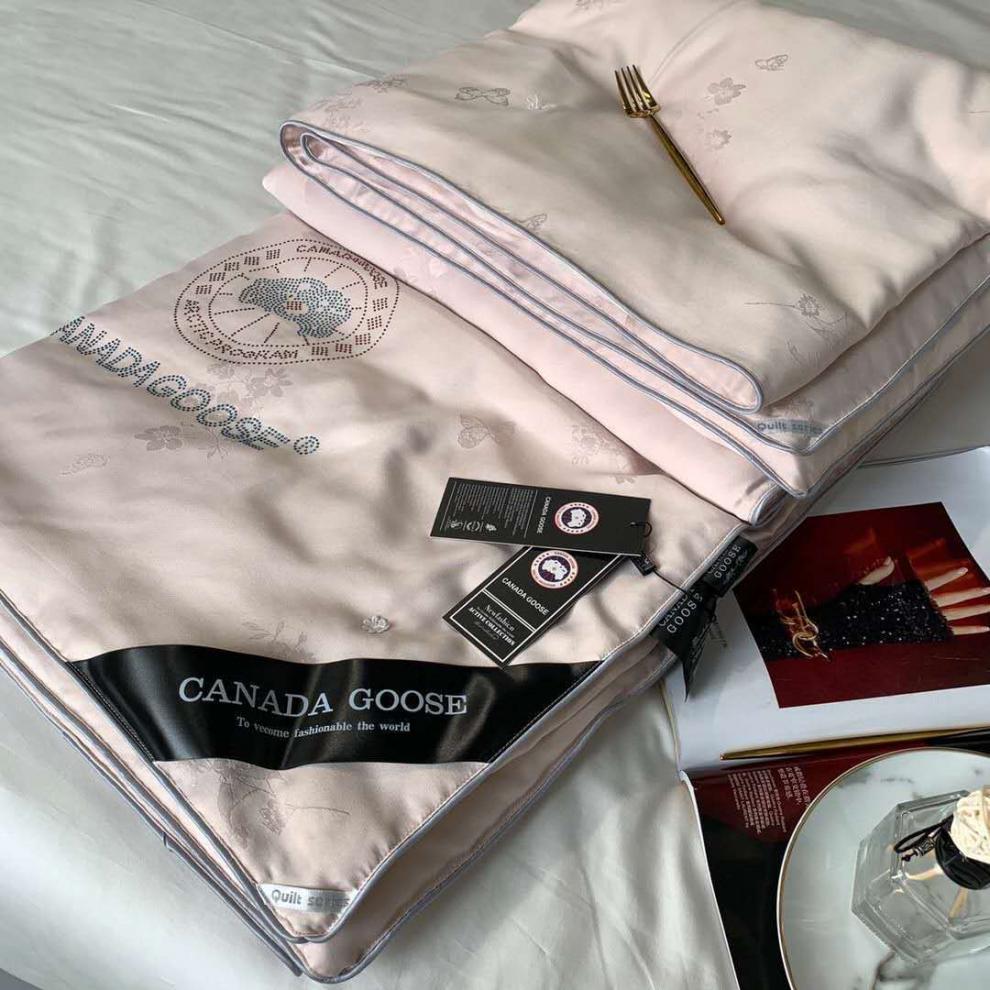 加拿大新款大鹅蚕丝被夏凉被空调被春秋被冬被芯四季通用夏凉被本白冬