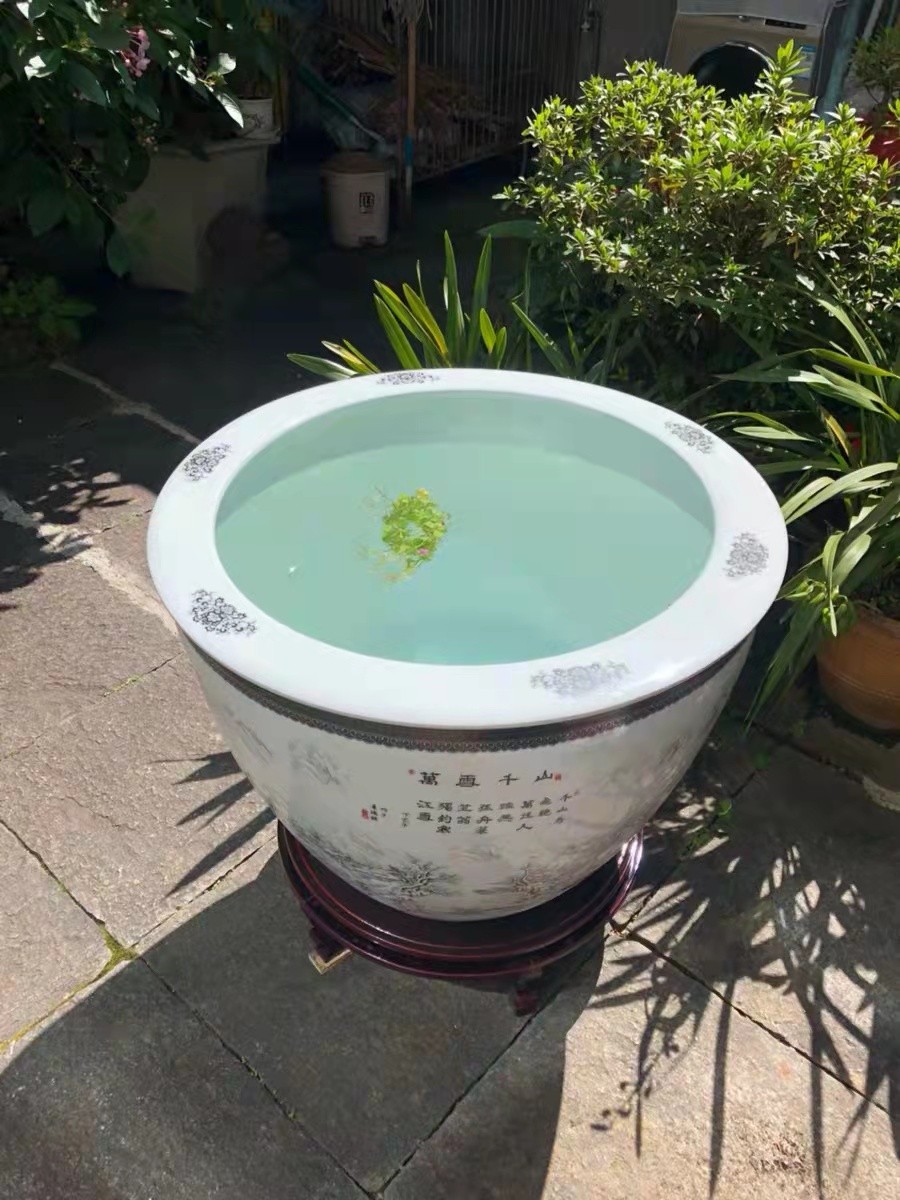 陶瓷鱼缸特大号门海大缸客厅睡莲书画庭院风水大缸客厅水缸 春色满园