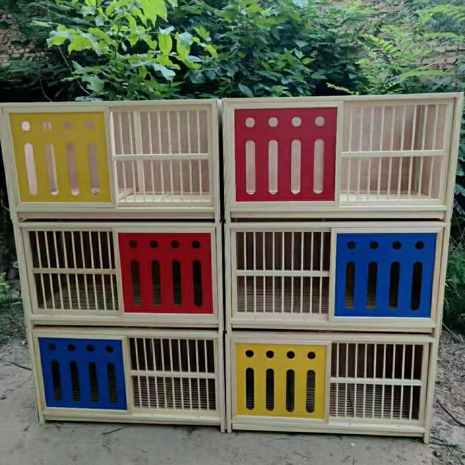 鸽具实木巢箱信鸽配对笼赛鸽巢箱组合巢箱鸽子用品用具鸽子繁殖箱