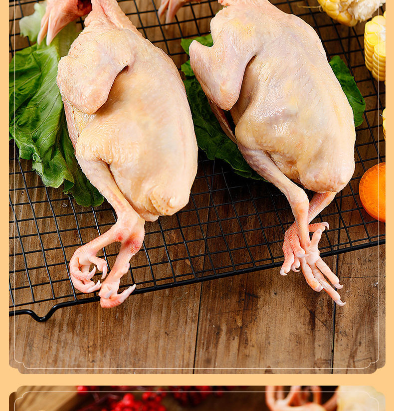 【顺丰】活杀乳鸽元宝鸽鸽子肉新鲜鸽子煲汤肉鸽乳鸽老鸽子 鲜露哒