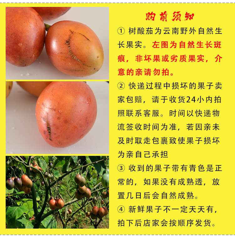 树番茄新鲜洋酸茄大树番茄小果1斤云南特产蔬菜水果西红柿树蕃茄 3斤