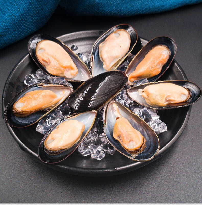 大连海鲜青口贝 鲜活海虹青口贝新鲜烧烤海鲜淡菜海红特大青口贝 5.