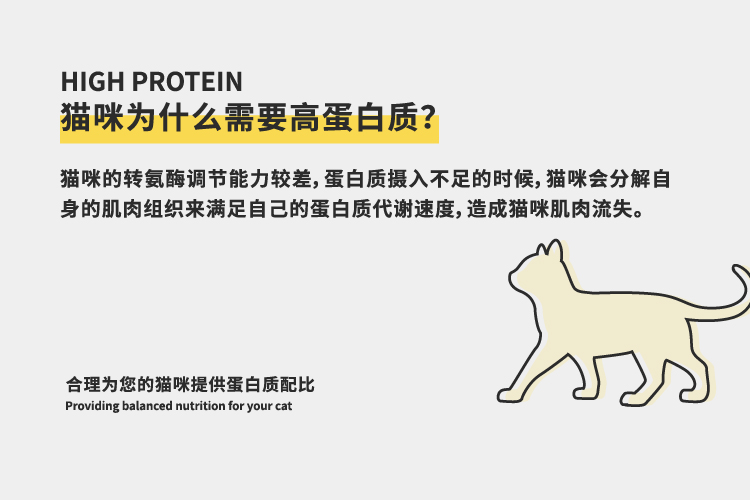 诚实一口高蛋白全期幼猫全价增肥发腮猫粮试用装p40全期猫粮试吃装40g 5 图片价格品牌报价 京东