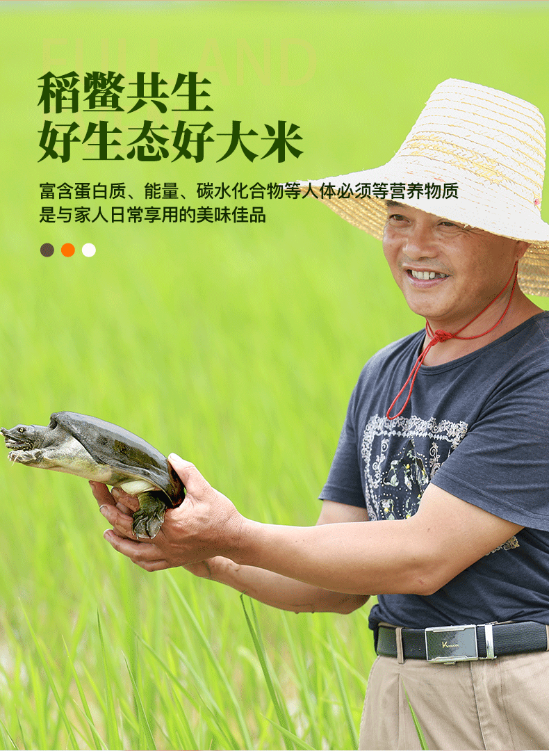 鱼米农夫一级长粒香米5kg有机稻谷大米10斤鳖稻共生一季稻新籼米长粒