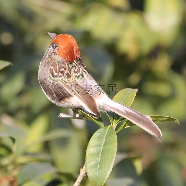 仿真鸟麻雀夹子款泡沫羽毛鸟假鸟田园庭院美式乡村装饰 绿色麻雀1只