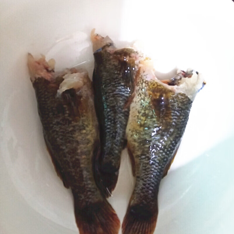 老头鱼胖头鱼黑龙江新鲜速冻开河鱼500g