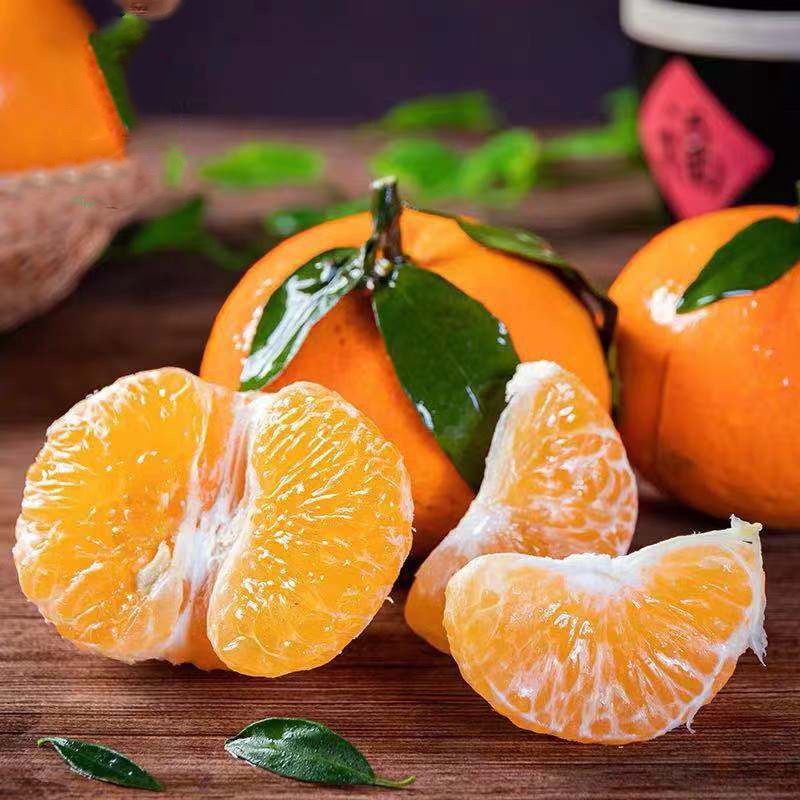 广西武鸣沃柑贡柑 新鲜应季/大果薄皮 5斤 精选大果【图片 价格 品牌