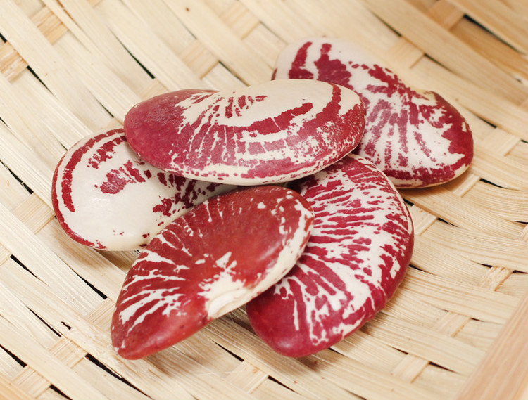 荷包豆大肾豆东北红芸豆饭豆斑马豆500g年货